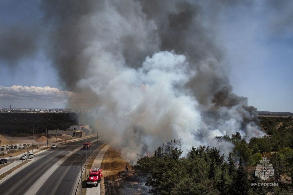 ����� � ����������� ��������� ��������