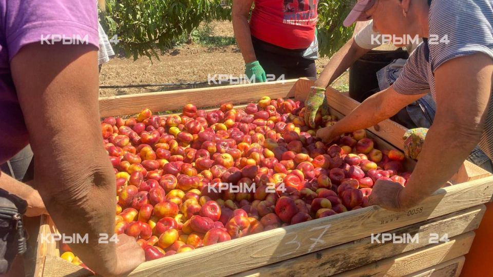 � ����� �������� ������ ���������