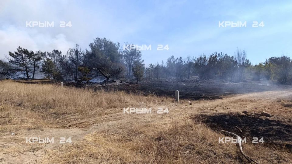 ����� ����� ����� � ������ ���������� ����� � �����������