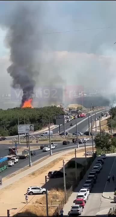 ��� ����� ������. ���������� ��������� ��� �����