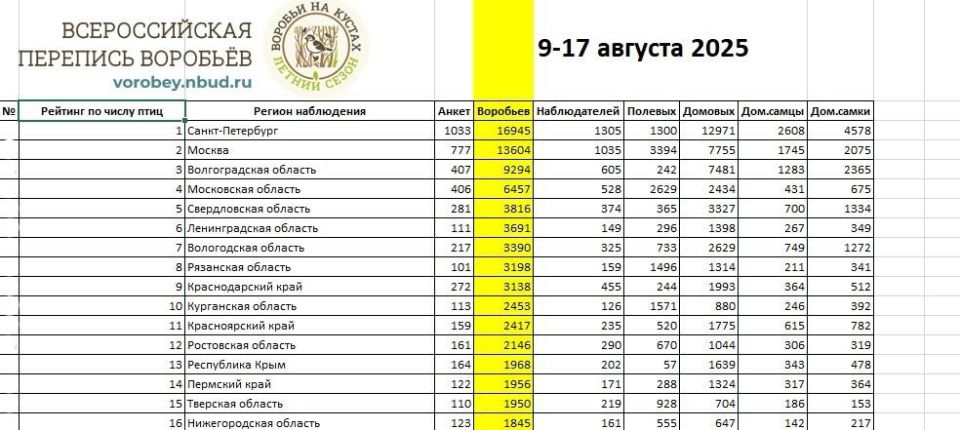 ����� ������� ������ ������������� �������� �������� 2025!