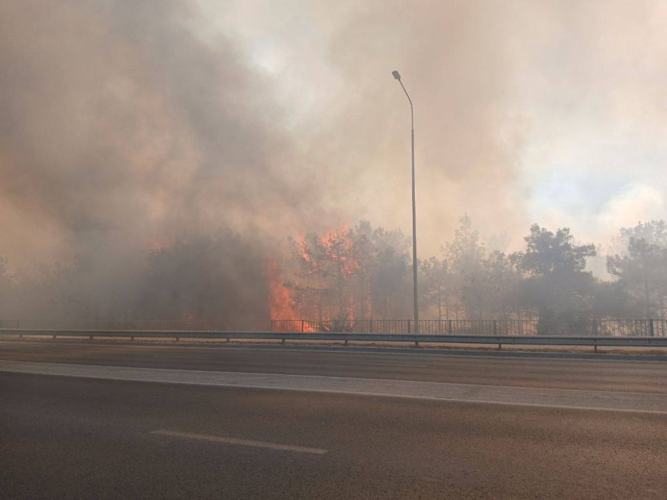 ����� �������� �����, ������������� ������� ���, ����� �������� �������� �����