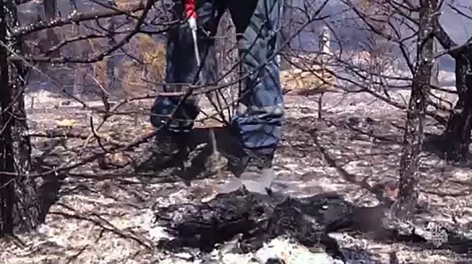 МЧС показало, как в Севастополе тушили крупный пожар, охвативший 12 гектаров