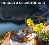 Михаил Развожаев: Итоги минувшего дня:. В Севастополь с рабочим визитом приехал заместитель Председателя Правительства Российской Федерации Александр Валентинович Новак