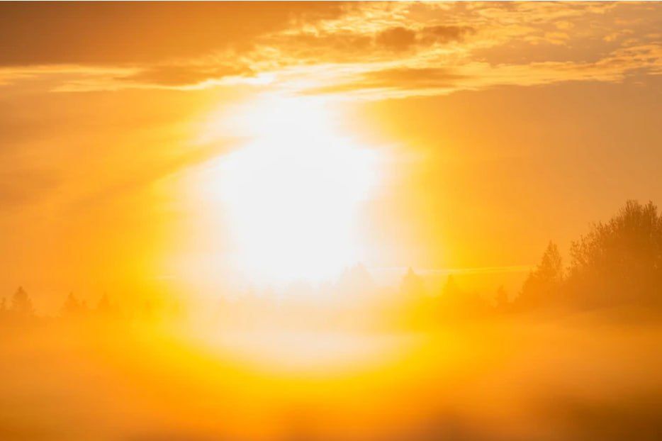 ��������� ����: ������ ��������������� ������������