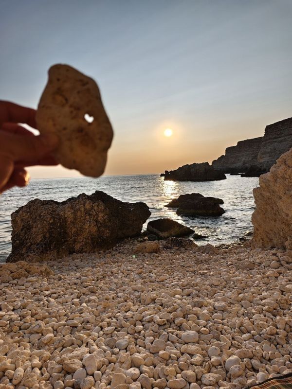 #�����������������. ����: ������� ��������� �� ���-������������