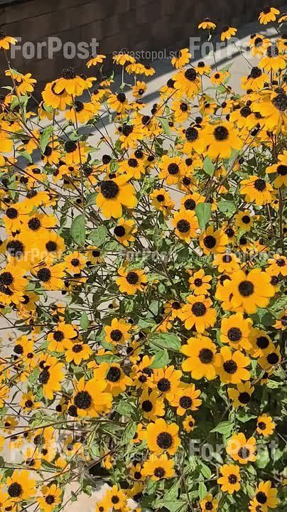 Севастополь ждут солнечные, но не жаркие выходные