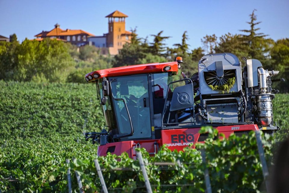 � ����������� ��������� �������� ���� ���������