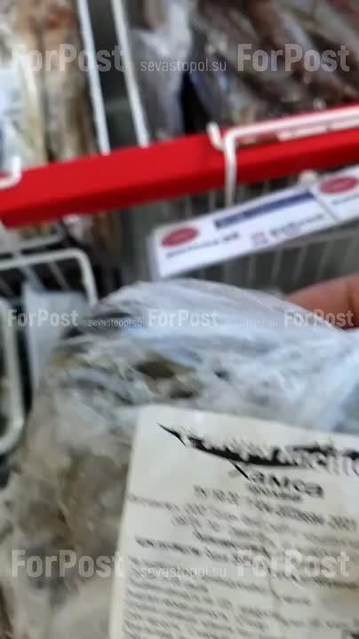 ��� ����� "������ ����" � ����� �� ��������� ����������� (�������� �� ������)