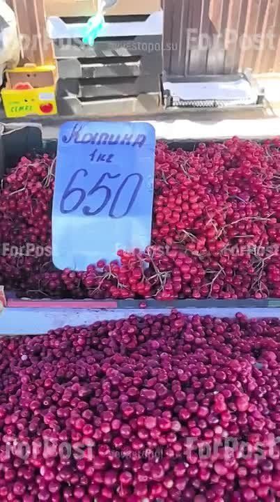 �������� ���������� ���� �� �������� ������-����� � �����������