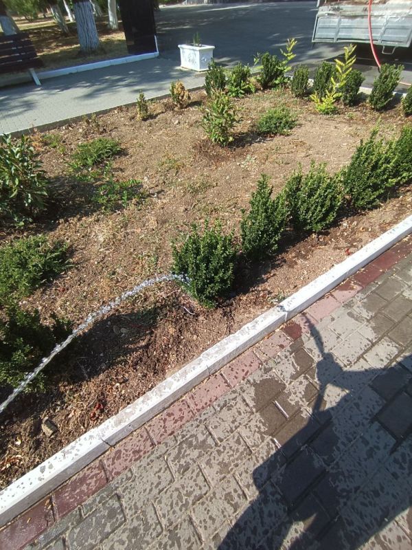 ������ �� ��������������� �� ���������� ���������� ��