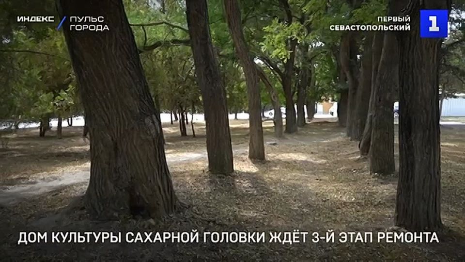 � ������ �������� ������� � ���� �������� �������� ����� ����