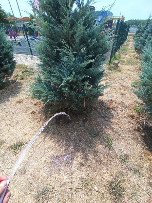 ������ �� ��������������� �� ���������� ���������� ��