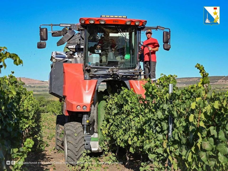 � ����������� ������� �������� ���� ���������