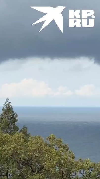 ������� �������. ����� "��������" ������� ������� � ����� ������� ���� ������������� ���� ������� ��������� �� ���-������������