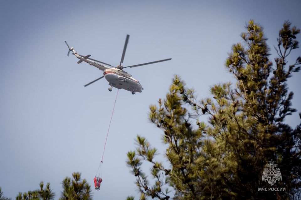 ��� ���������� ����������� �������� ������ � ����������� ���������� �������� �����������