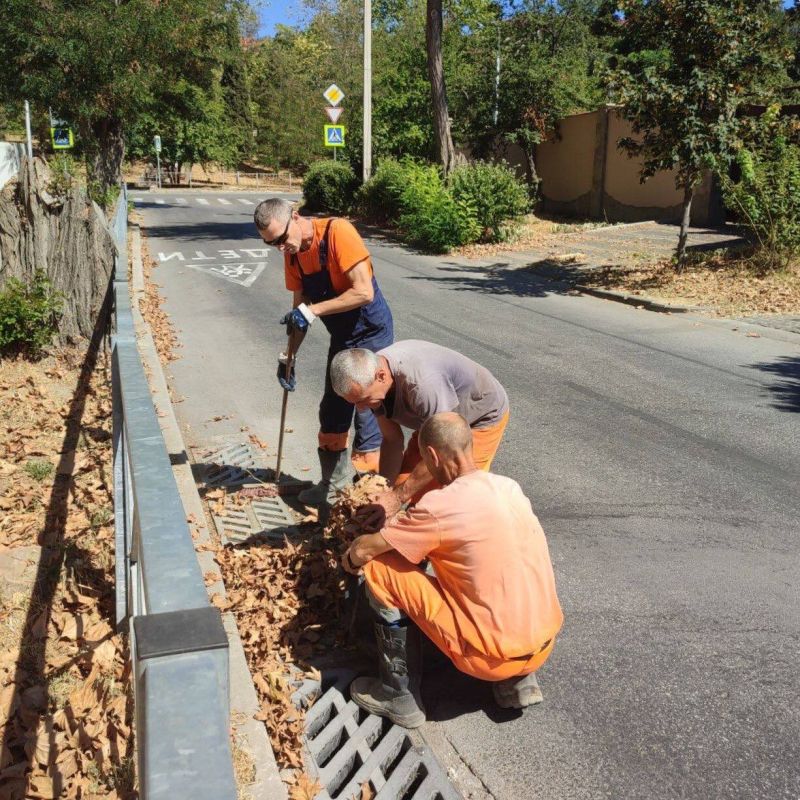 ���������� ���������� ������� �������� ������� �� ����� �������� ���������, � �������� � ���������