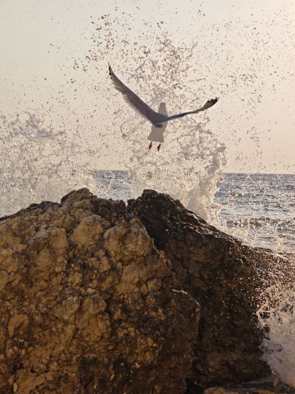 ������� ����, ������!. � ����������� �� �������� ���������� �����, ���� ��������������� �����, �����