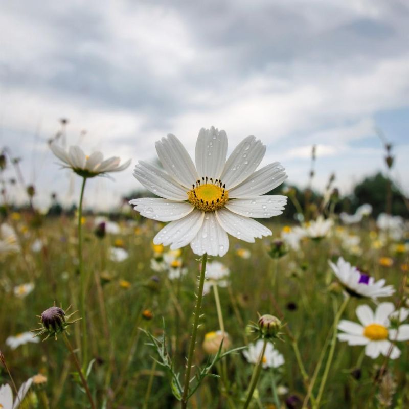 ������� ������ � ����� �� 23 �������