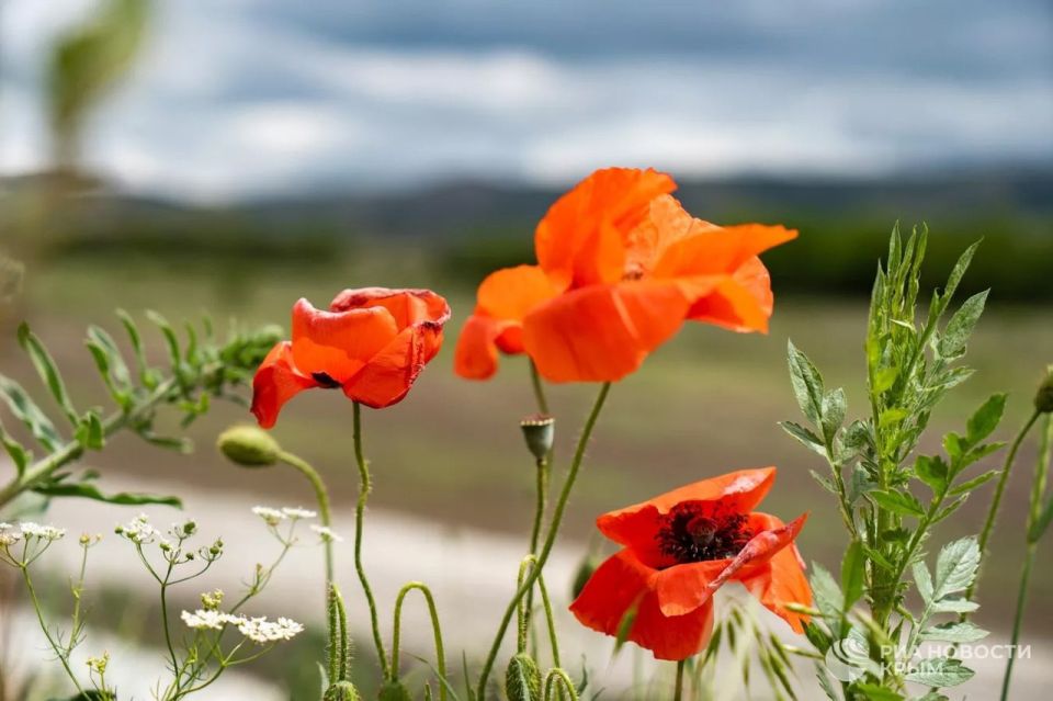 ������� ������ � ����� �� �����������