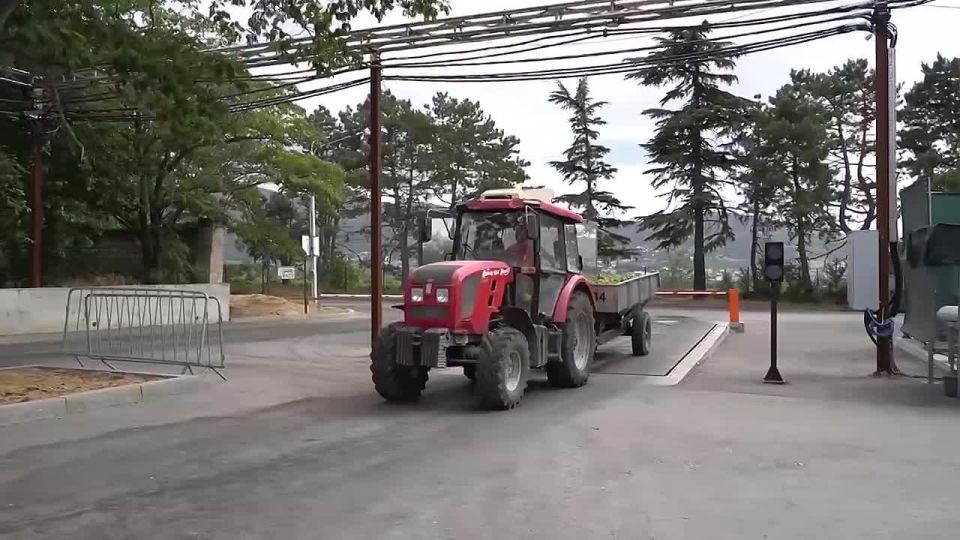 ���������� ����������� � ������� �������������� ����������� � ����������������� ����������� � �����