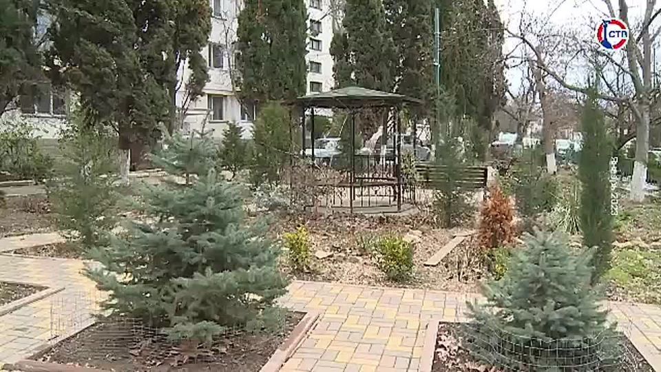 Губернатор Севастополя поставил задачу провести работу с управляющими компаниями по уходу за зелёными насаждениями во дворах