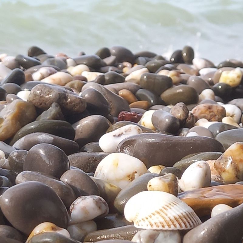 ������� ����������� ����!. � ����������� ��� �������