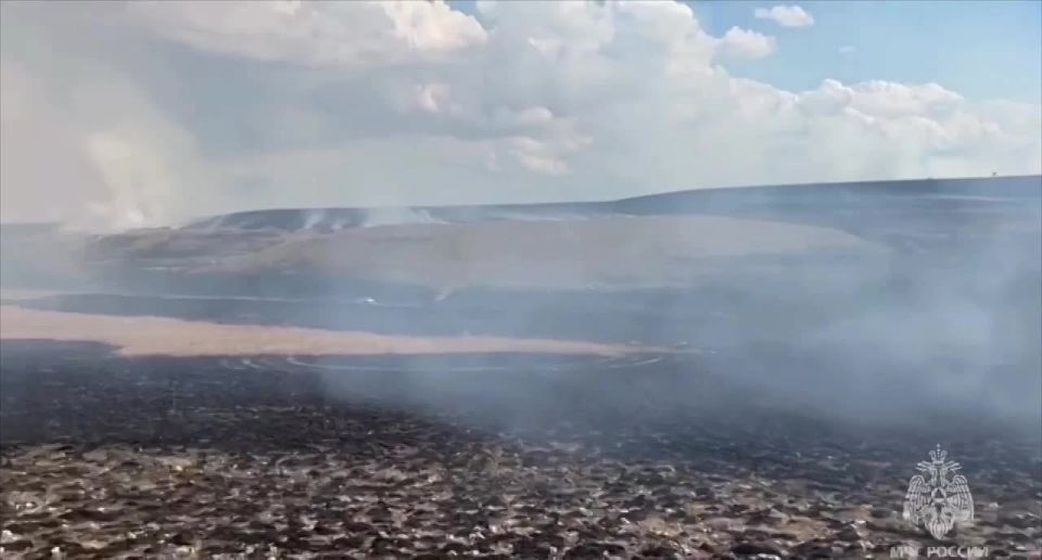 Пожар в Крыму локализован на 250 гектарах — МЧС