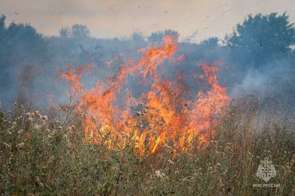 �� �������� ������� ��� ������ ������������ ����� �� ������� �������