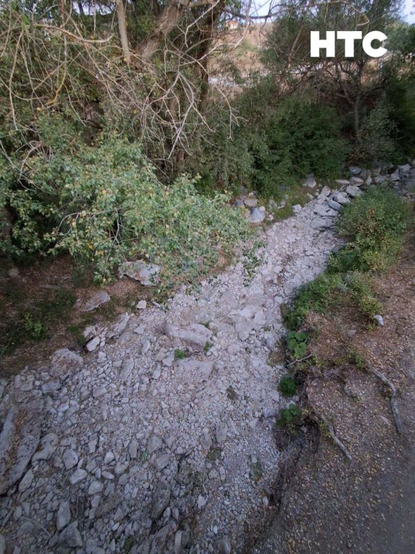 #���_�����. �� ��������� � ������, ������ �����... ������� �� ����� ���� �������, �� ��-�� ���������� ����� � ������� ��� ������ (�������� ��� � ���������� 2020) ����� ��������� �� �����. ��-��������, ���� ����, ����� ����...