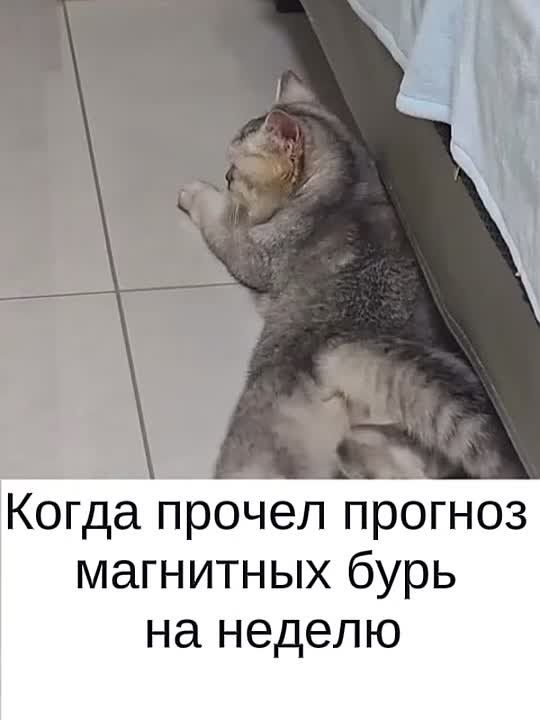 Прогноз магнитных бурь с 25 по 31 августа