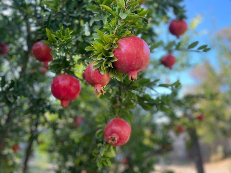 Прогноз погоды в Крыму на 25 августа