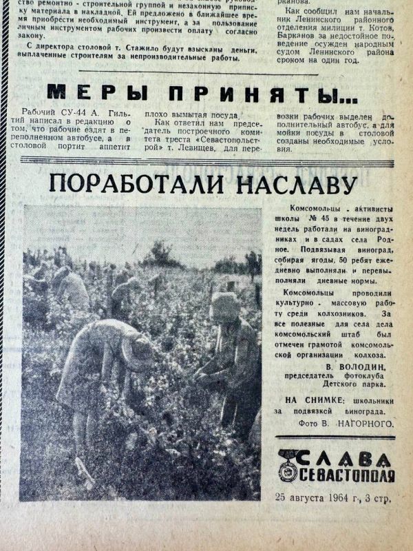 Поработали на славу. Вырезка из газеты «Слава Севастополя» за 25 августа 1964 года о трудящейся молодёжи на виноградных полях