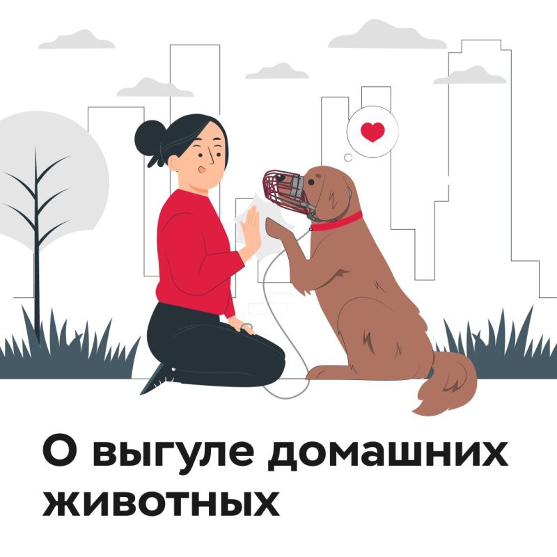 ВЫГУЛ СОБАК: ВАЖНЫЕ ПРАВИЛА!