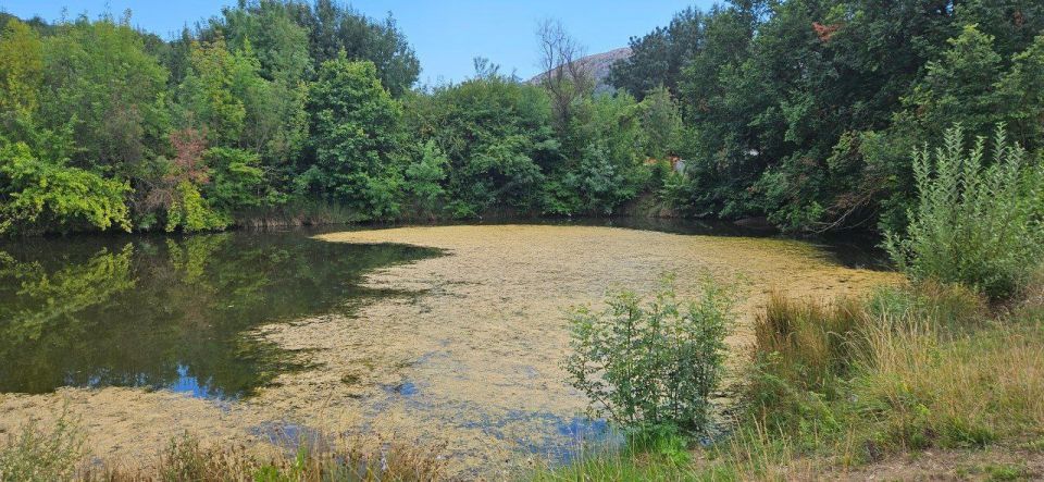 Внимание, юридические лица!