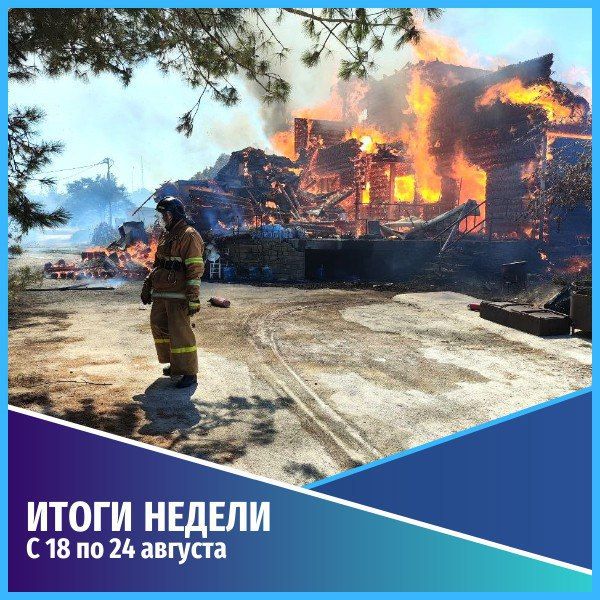 Общественная безопасность