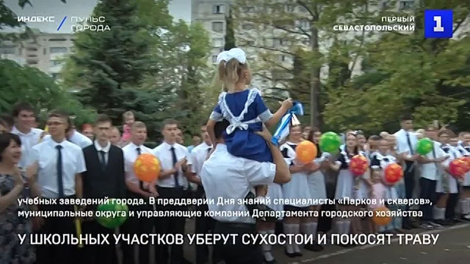 В Севастополе приводят в порядок пришкольные территории – убирают сухостои и косят траву