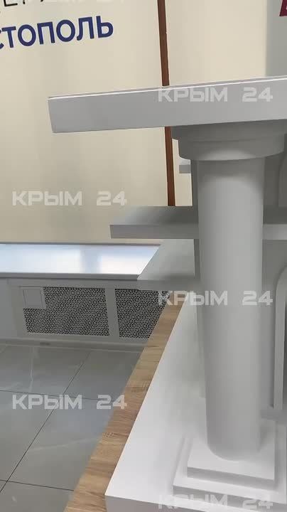 Севастопольских уличных котов расселяют в дома, созданные студентами СевГУ