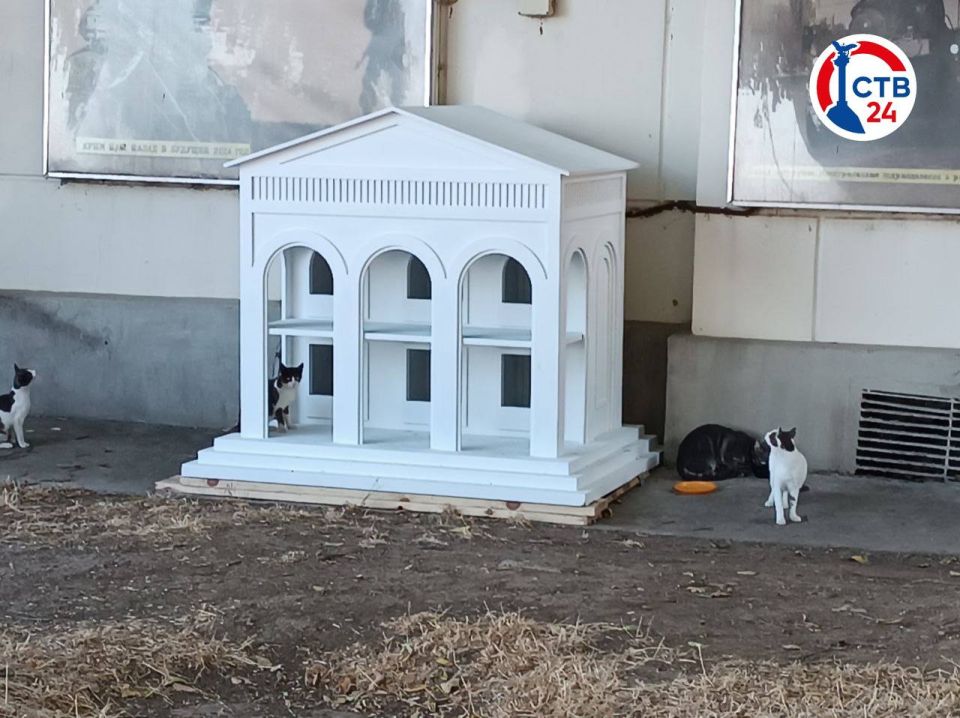 Первые пушистые жители оценили построенные для них домики в центре Севастополя