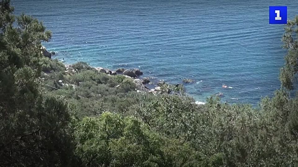 В Севастополе спасли мужчину, которого течением уносило в открытое море на доске для сап-сёрфинга