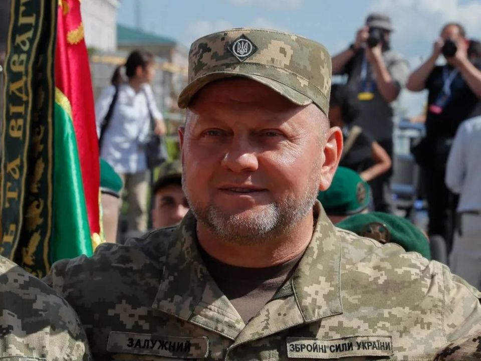 Дмитрий Белик: Залужный продолжает линию Киева, предлагая изучать биографии неонацистов в школе