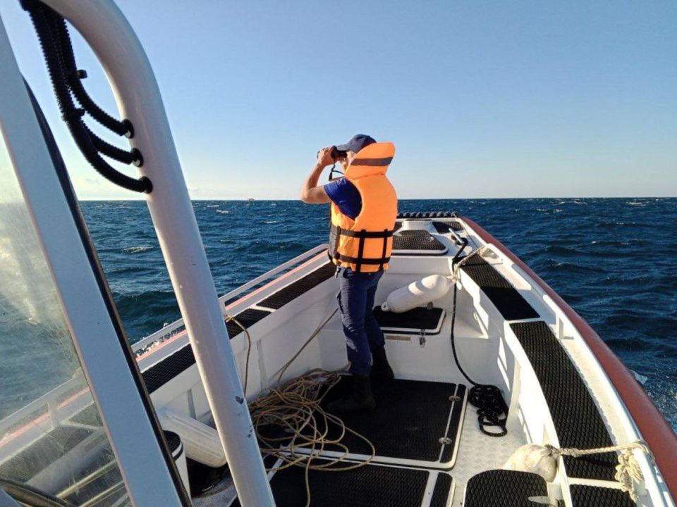 ������ � ����� ����� ����������� �������