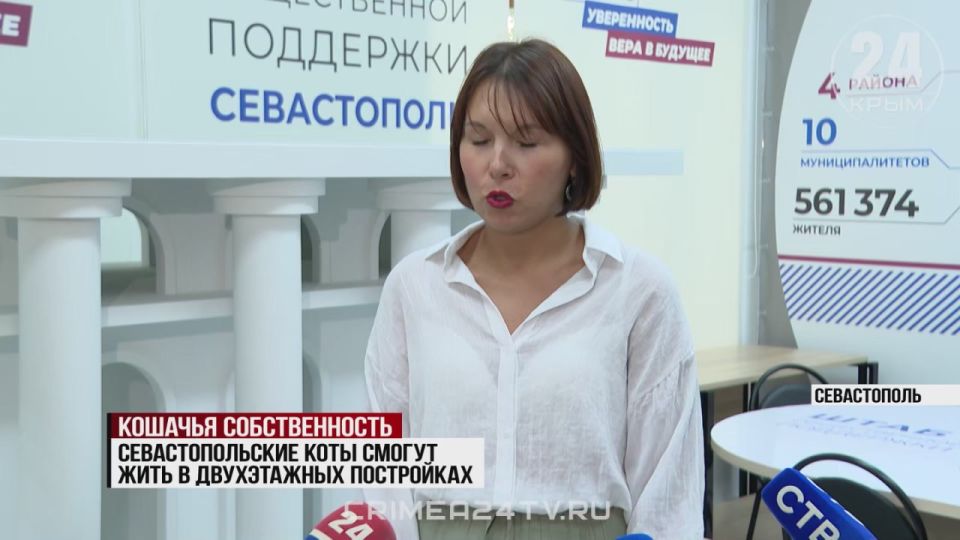 Праздник усатых-полосатых: севастопольские коты отмечают новоселье в домах в архитектурной стилистике города