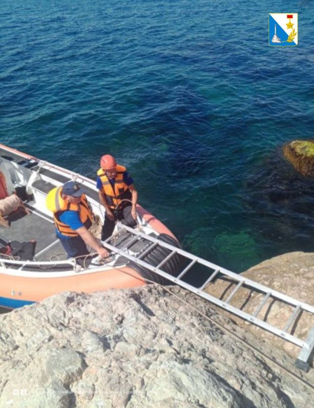 ��������� ���������� ������ �������� �� ����� ������