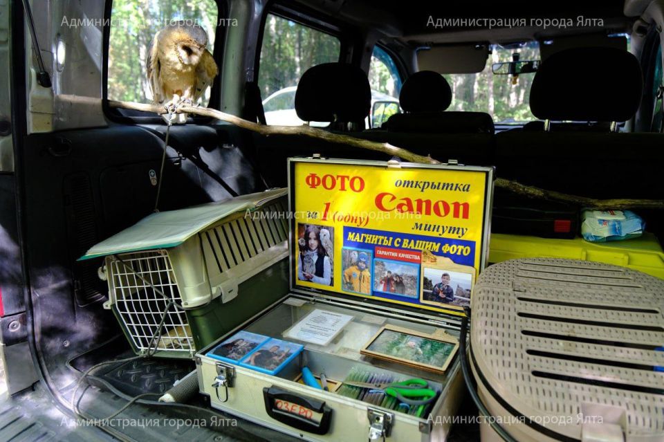 ���������� ���������� � ���� ������ ����������: � ��� ������ ������������ ��������