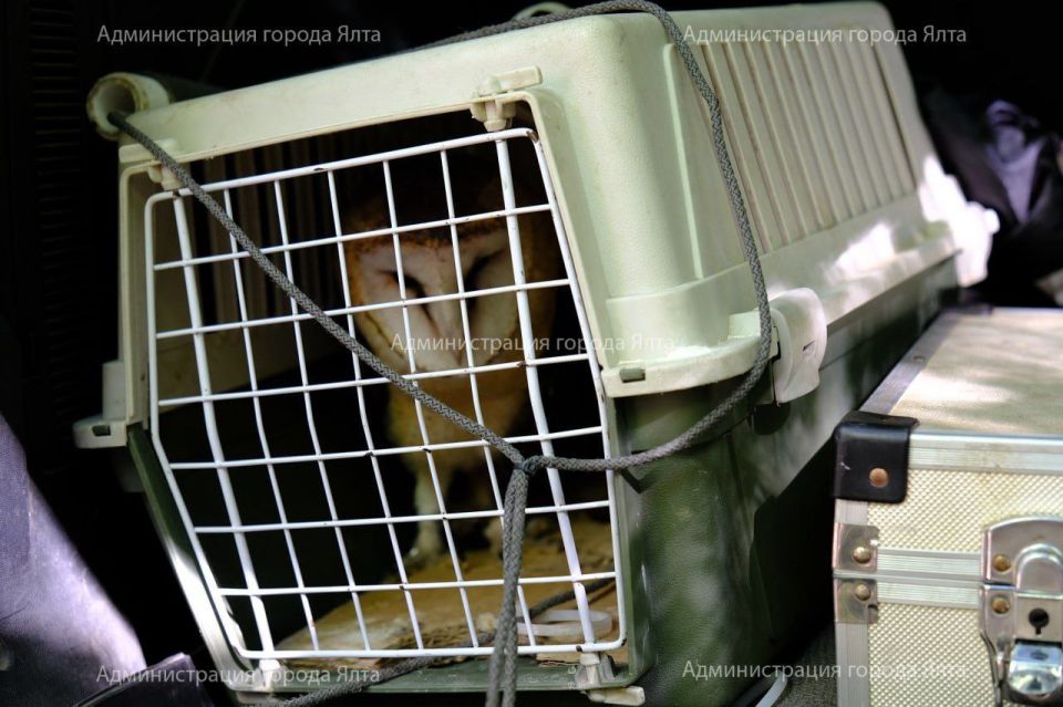 ���������� ���������� � ���� ������ ����������: � ��� ������ ������������ ��������