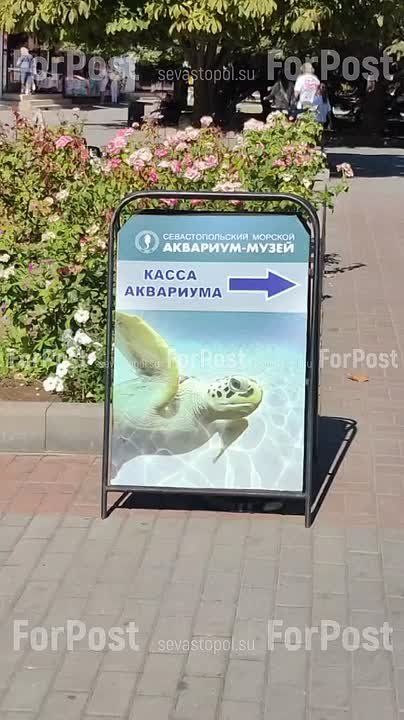 ������� ��������� "���������" ������� ����������� � ����� ��������� � ������