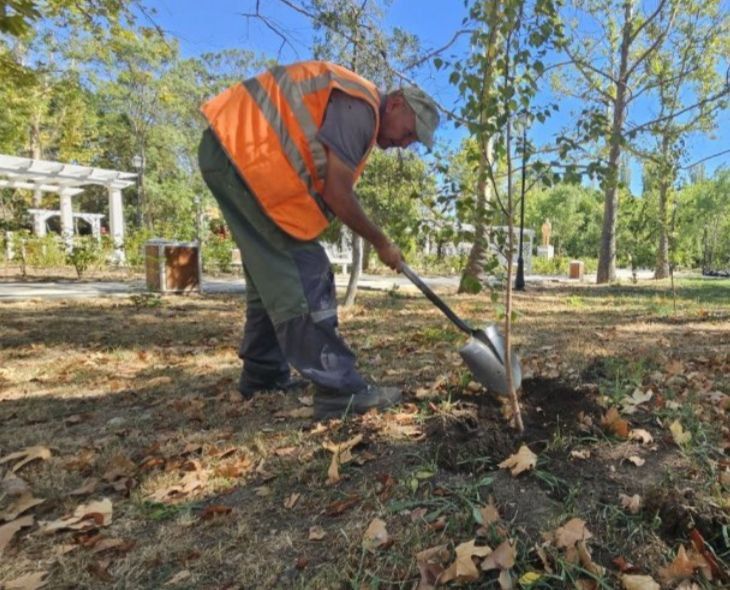 ����������� ������� � ������� ������� � ����� ����� ����� ��������� � ���������