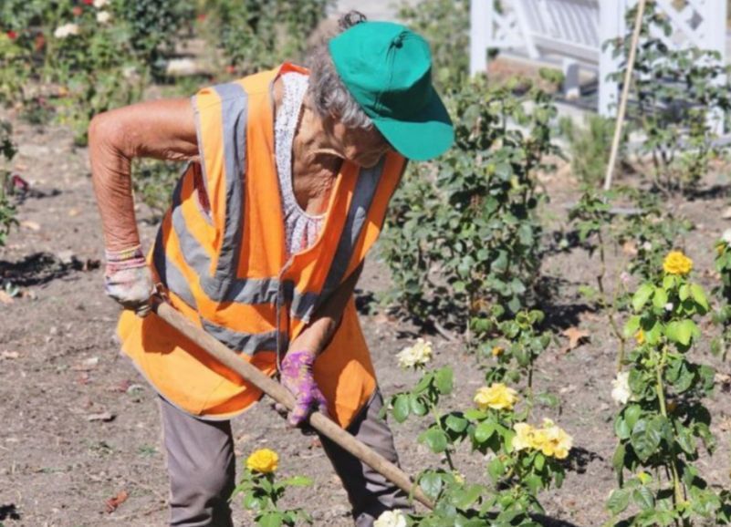 ����������� ������� � ������� ������� � ����� ����� ����� ��������� � ���������