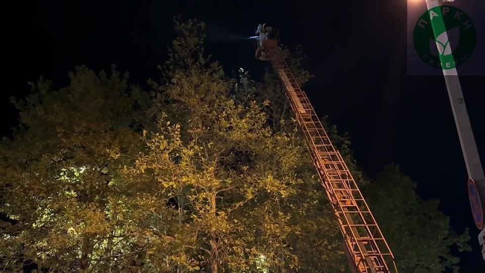 ������ � ������� ��������, ��� ������������ ������� �� ������������ ����� �������